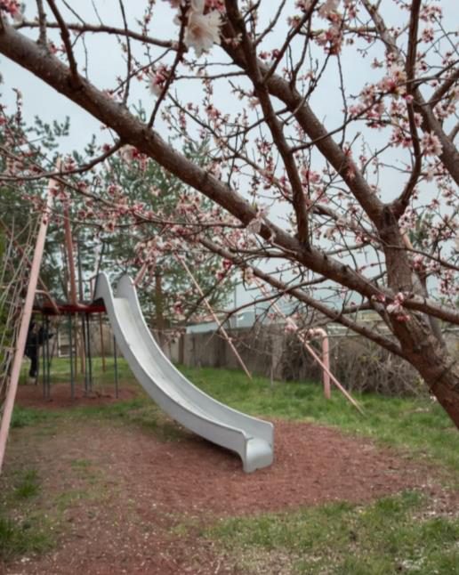 Installed slide under a blossoming tree in Gyumri