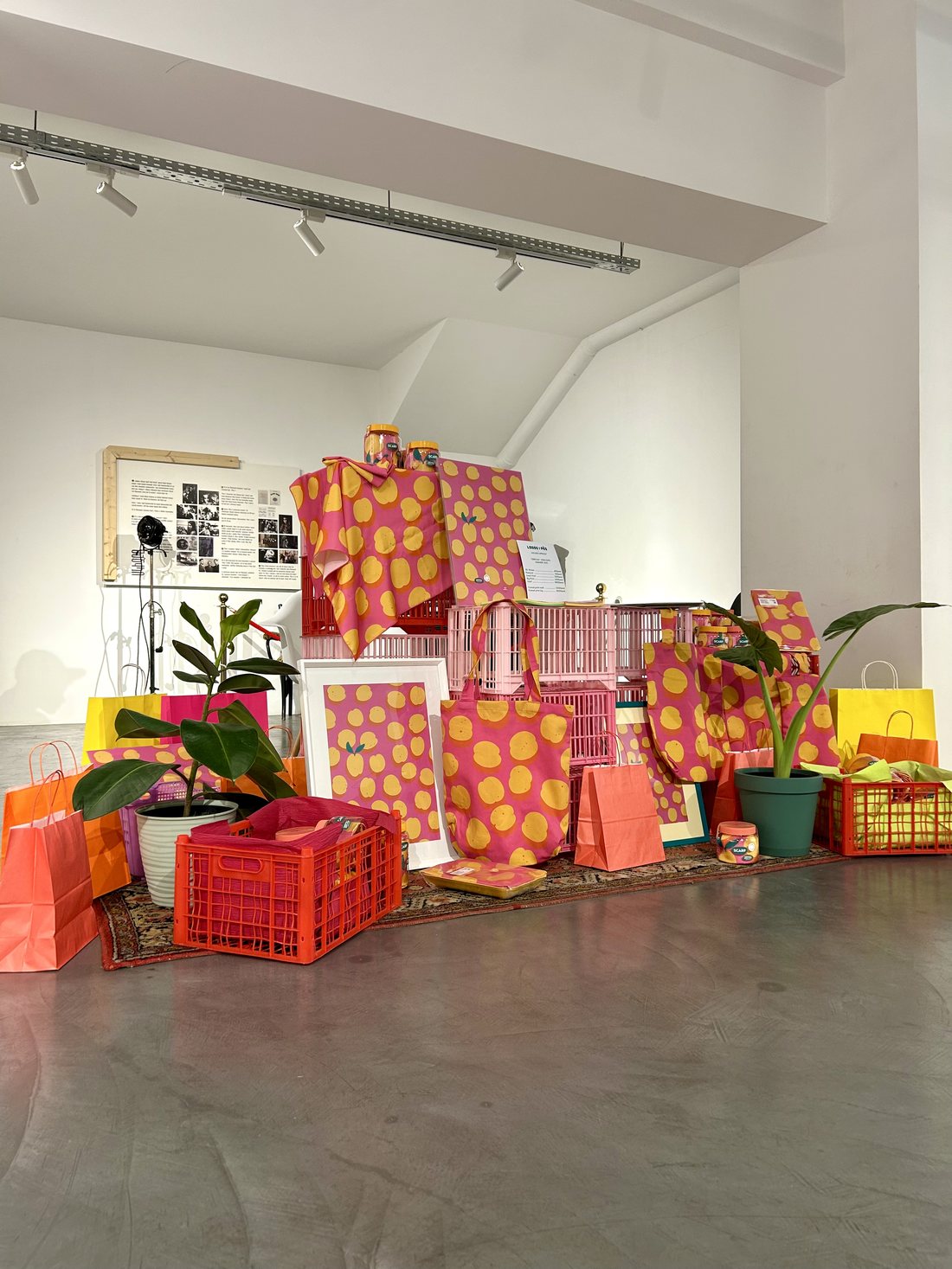 The apricot-print collection installed at the House of Cinema — prints, totes and crates in pink and orange