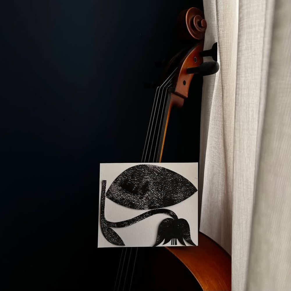 Whisper shown from another angle, the textured black flower resting against the cello's strings