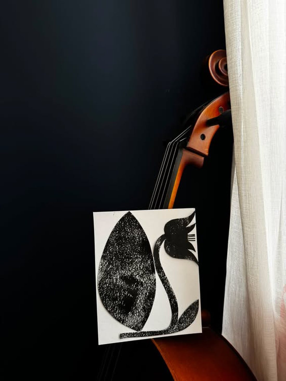 Whisper — a black textured flower with a single petal and a leaning bloom, against a dark background beside a cello